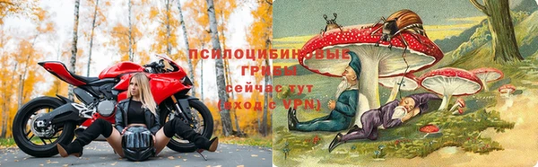 амф Алексин