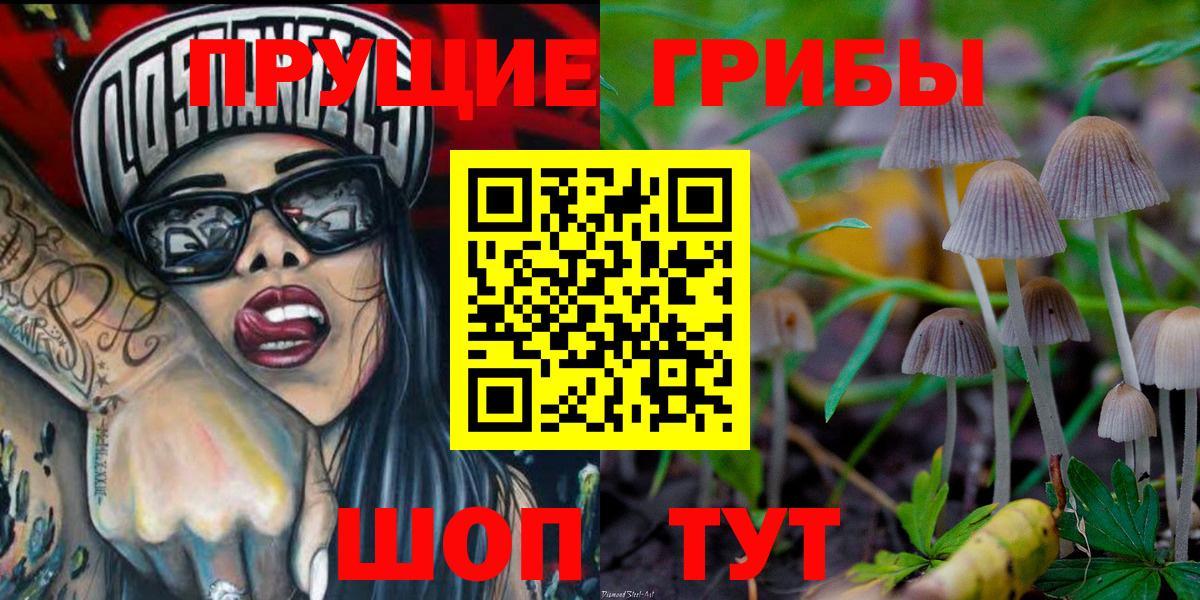 Галлюциногенные грибы Cubensis Бердск