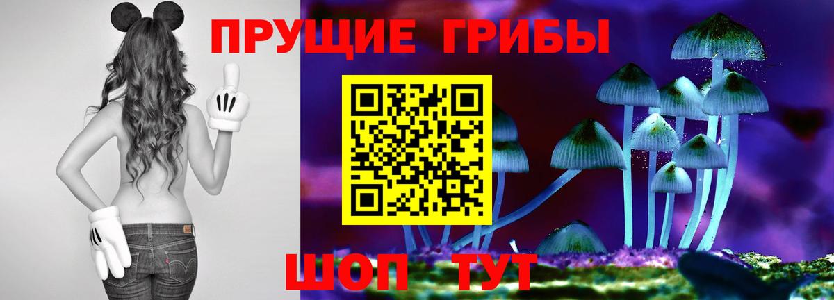 Псилоцибиновые грибы GOLDEN TEACHER  что такое наркотик  Вход с VPN  Бердск  Псилоцибиновые грибы мухоморы 