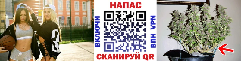 ОМГ ОМГ как войти  Бердск  Канабис THC 21% 